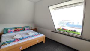 Birken Loft am Meer