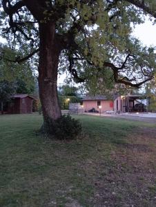 Volo Libero - Guest House