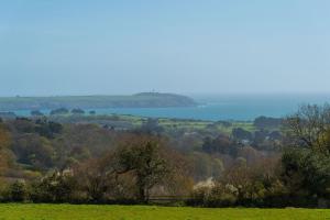 Furnished Bell Tent 3