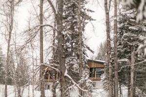 Tinwood Cabins The Descent, Cozy 3 min to Rossland