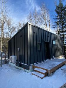 Tinwood Cabins The Descent, Cozy 3 min to Rossland