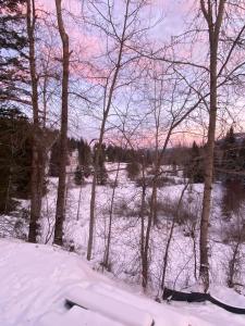 Tinwood Cabins The Climb, 3 mins to Rossland