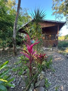 Real Jamaica - 5 Cabins right beside the sea