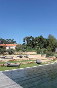 Quinta Javali