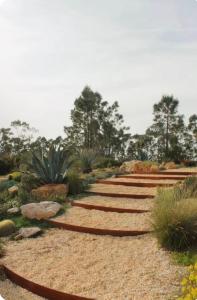Quinta Javali