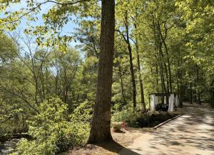 Paradise Park Atlanta