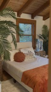 Paradise Park Atlanta