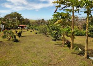 Tilawaland