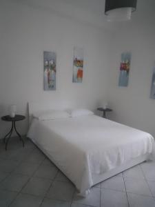 Reginella Home