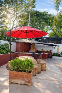 Finca San Pedro