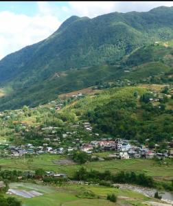 Manmay homestay