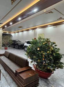 Hải Anh Hotel Điện Biên