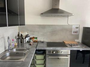 Studio climatisé en centre-ville, parking - 4 pers. - FR-1-874-15