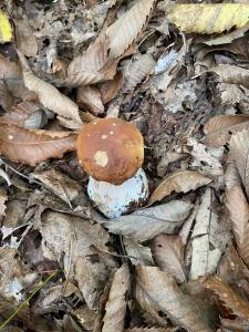 Appartamento Il Giardino