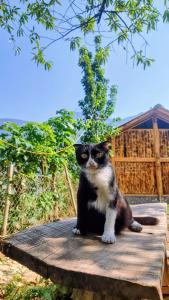 Mẩy Chiêu Cozy Homestay