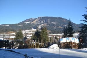 Ferienwohnung Wieser