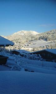 Ferienwohnung Wieser