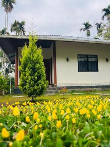 Cave Valley Wayanad