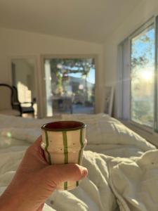 Mas Coeur Provence Calme Beauté Grand Parc