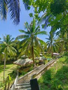 Campo De Laiya