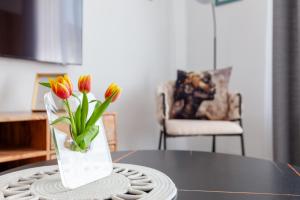 Arena Apartman