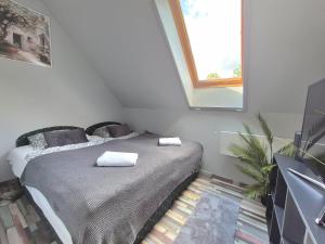 Buzavirág Apartman