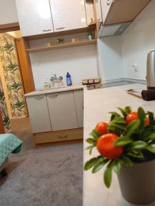 ADELA Apartment center city