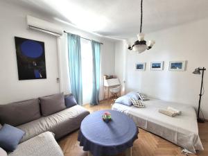 Split center apartment Alenka