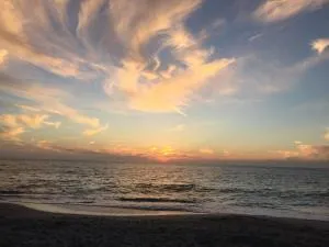 Home by Beach 5 - The Treehouse - Vanderbilt Beach Estates
