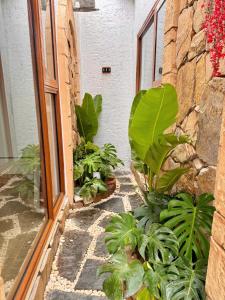 LA Memories Homestay Cua Hoi
