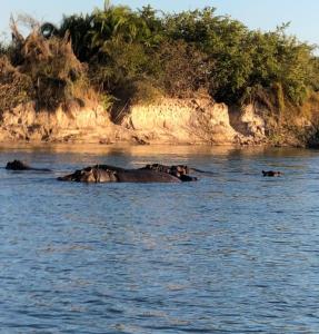 Emms Cubango Ecological Camp