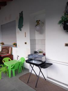 The Green Owl