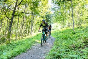 Résidence Les Alpages - Appartement avec une vue exceptionnelle, proche des pistes et piscine en été MAE-2434