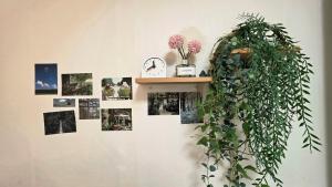 New Open! Stay in Grace Hanna Stay, Seoul, Shillim Station 2mins, Airport bus 2mins, Gangnam Hongik Unv 20mins