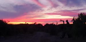 Agriturismo Tenuta Arbanoa