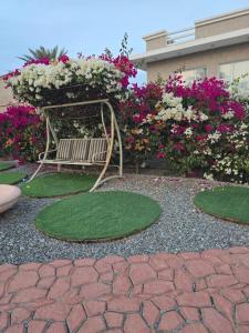 Katara Garden