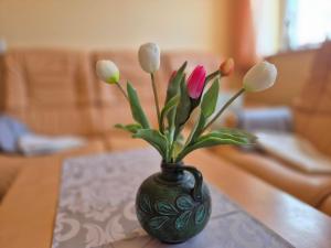 Ferienwohnung am "Amazonas des Nordens"
