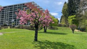 Apartment Landskron am Ossiachersee