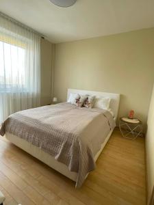 Silver Vytauto Apartments