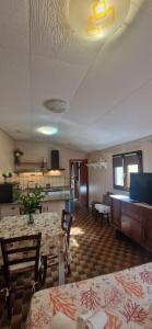 Tertium Home