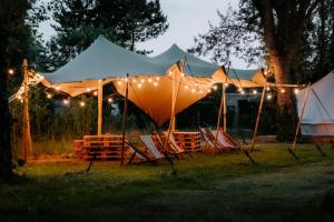 Glamping Boszee