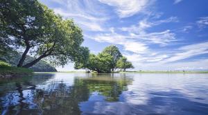 A Quiet Night of Stars in Nagahama Local Stay