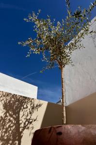 Casa Carlota - Centro de Conil