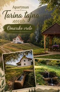 Omarsko vrelo - kuća na izvoru u srcu Tare