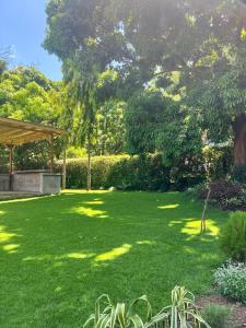 Kili Oasis Retreat - Lush Garden, Private Pavilion