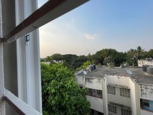 urban-Jungle Koramangla