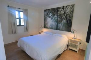A0275 Beautiful bright apartment Nerja