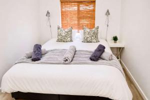 Dolphin View 34