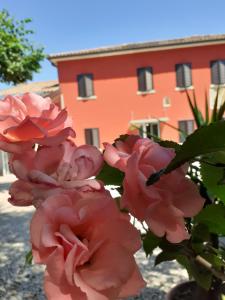 B&B Alla Bonora