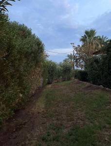 Plepis Seaside Villa